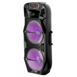 PARTY 16 Jumbo - Multimedia 1.0 Tower Speaker 15" Speaker + woofer