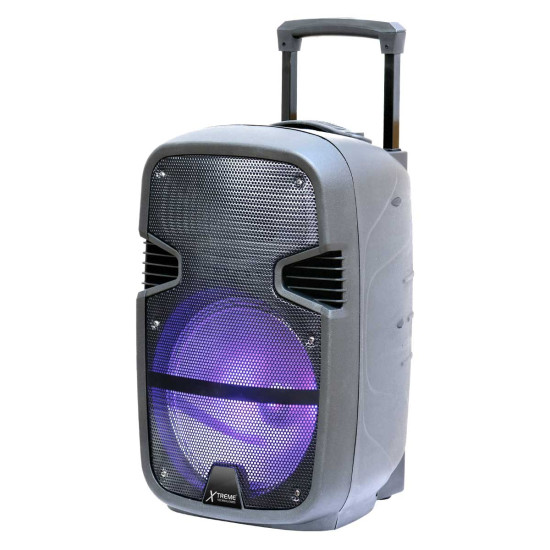 Picnic King - 12" Repeat Delay Trolley Speaker 1.0 With Stand 